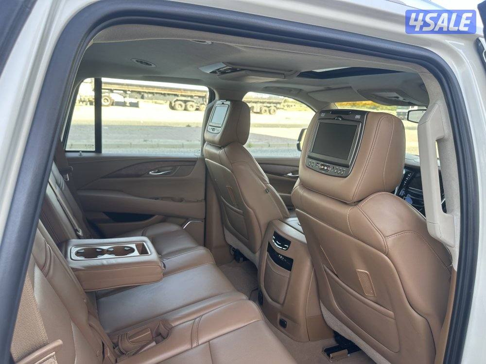 سكاليد بلاتينيوم بحالة نادرة9