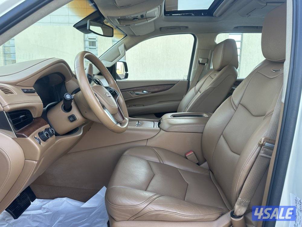 سكاليد بلاتينيوم بحالة نادرة12