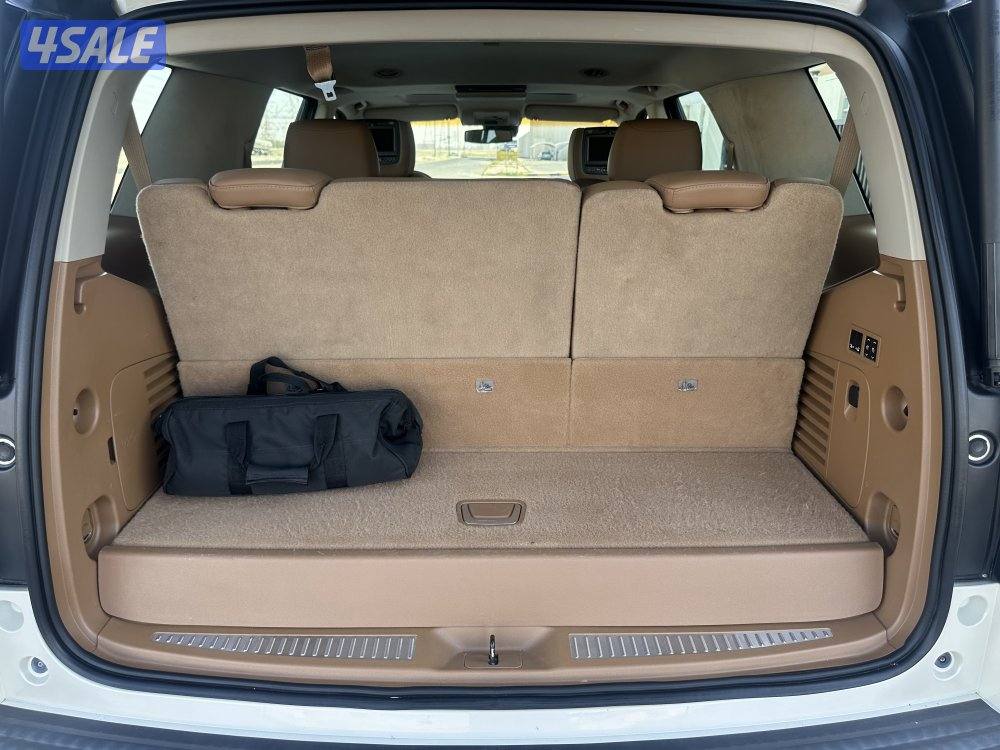 سكاليد بلاتينيوم بحالة نادرة13