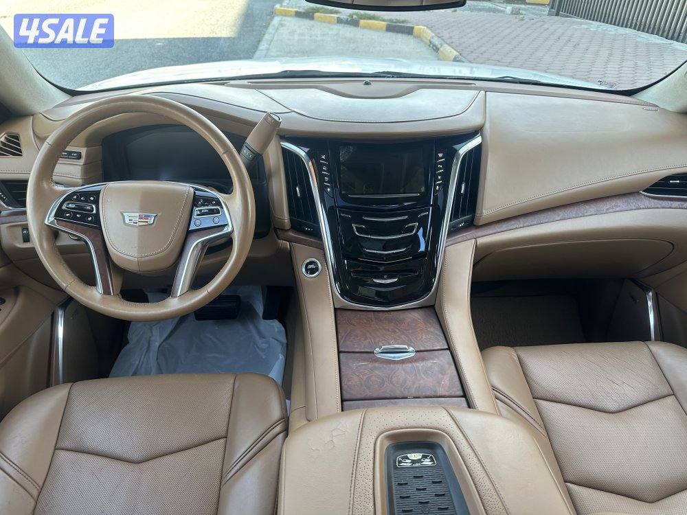 سكاليد بلاتينيوم بحالة نادرة14