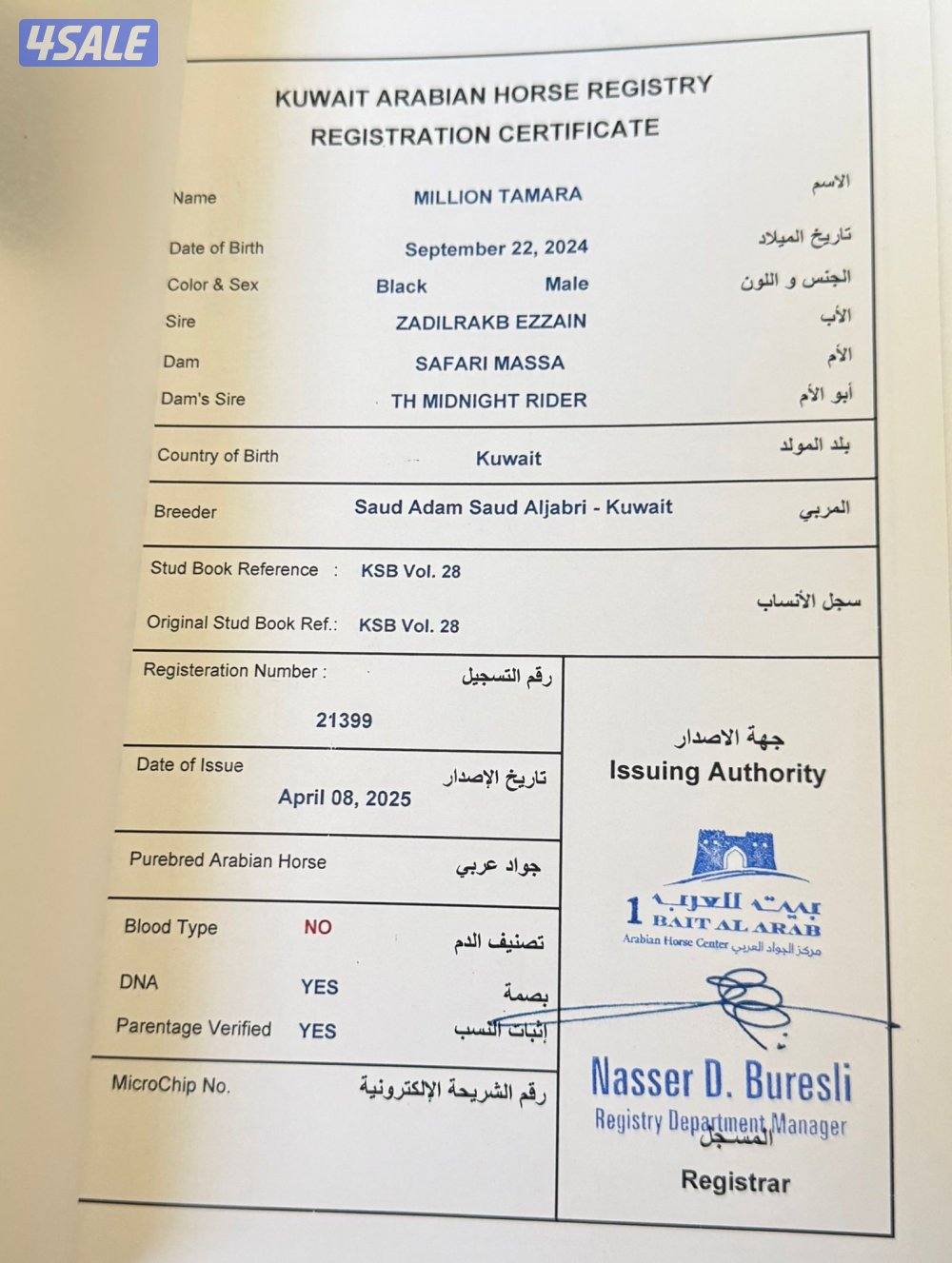 للبيع الفلو وباقي علومها عند صاحبها0