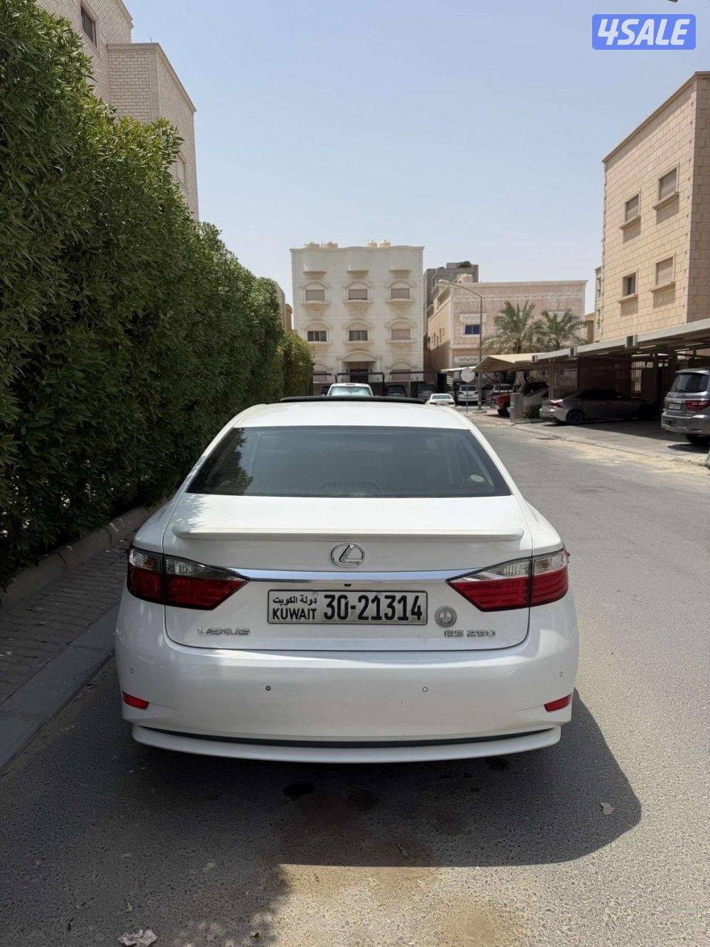 بيعه سريعه صبغ وكالة1