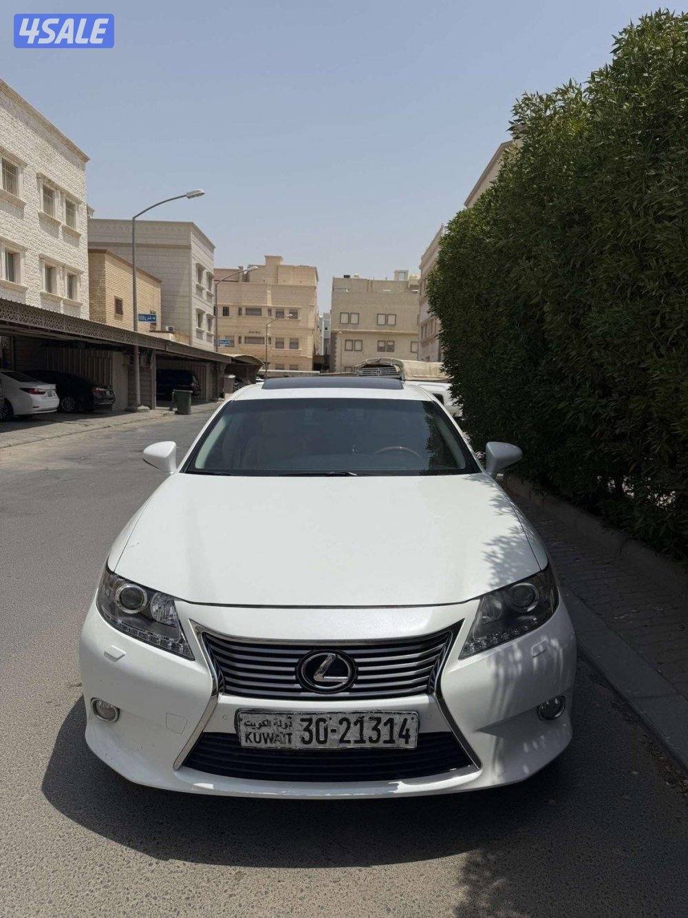 بيعه سريعه صبغ وكالة3