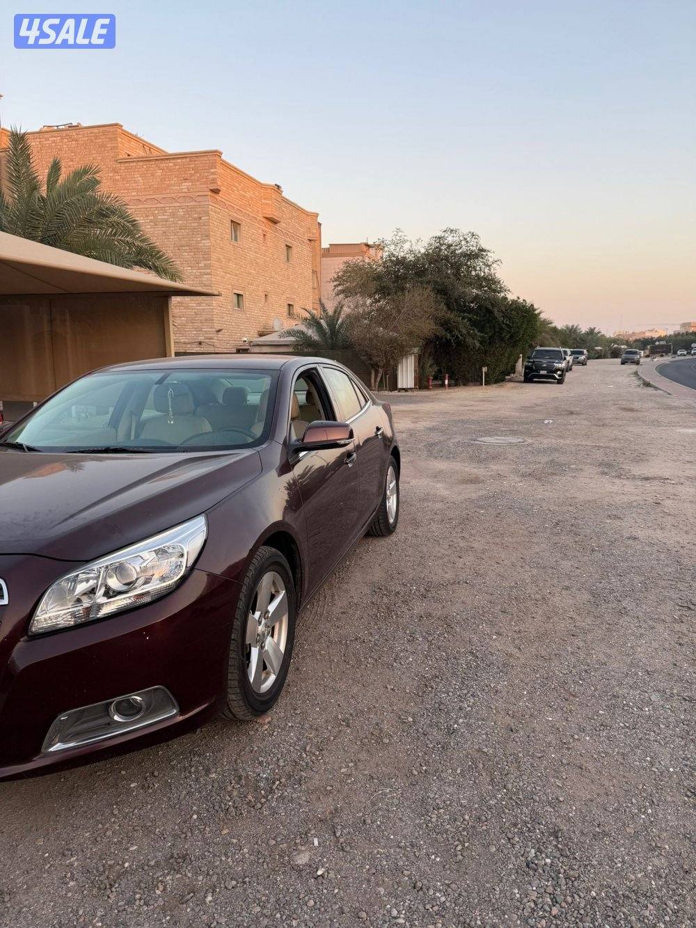 دق سلف واستعمل شرط الفحص صبغ الوكاله1