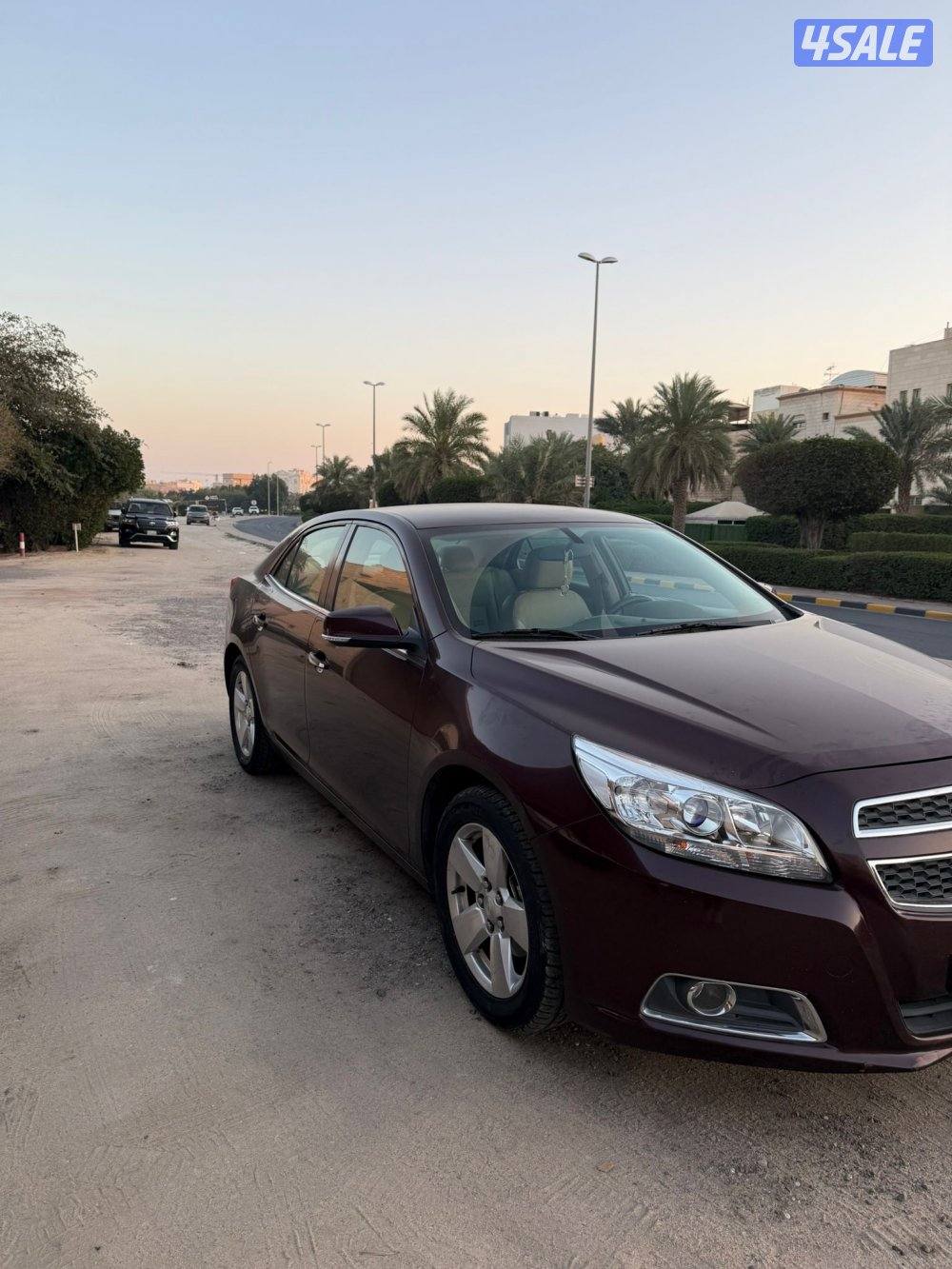 دق سلف واستعمل شرط الفحص صبغ الوكاله2