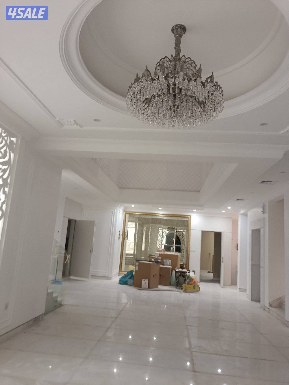 أحمد الصبّاغ15