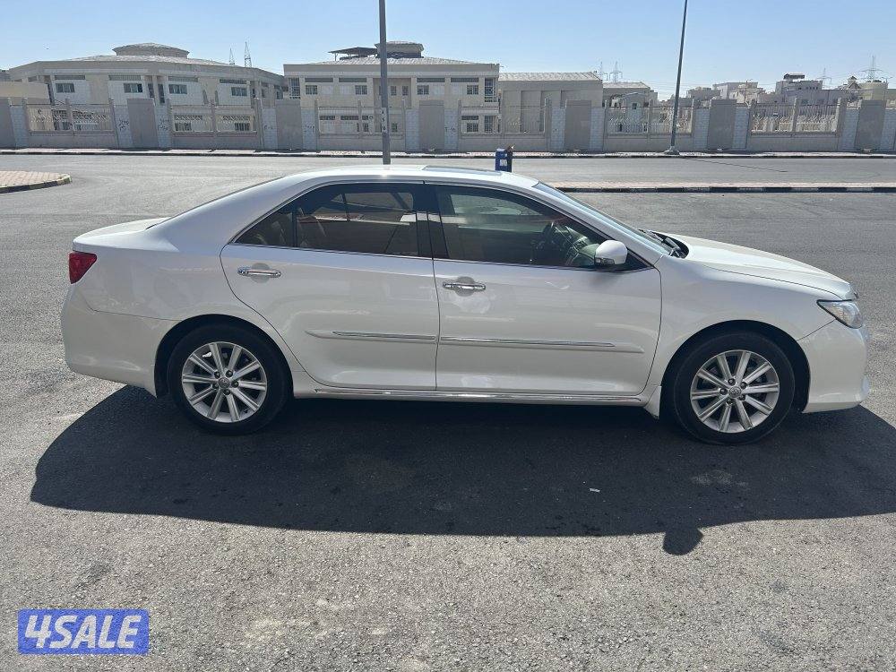 للبيع أوريون صبغ الوكاله عدا قطعين1