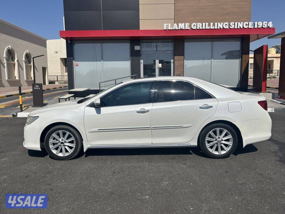 للبيع أوريون صبغ الوكاله عدا قطعين5