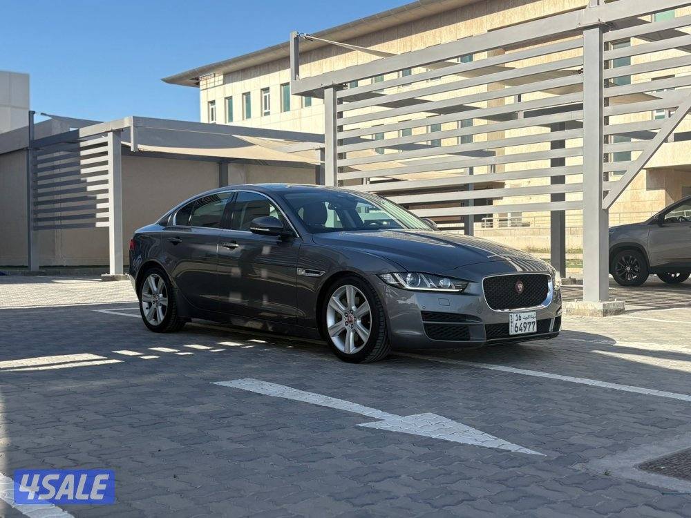 الزيانى 2018 XE4