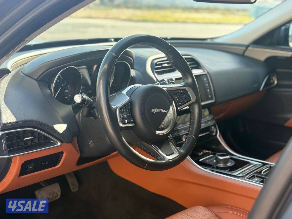 الزيانى 2018 XE6