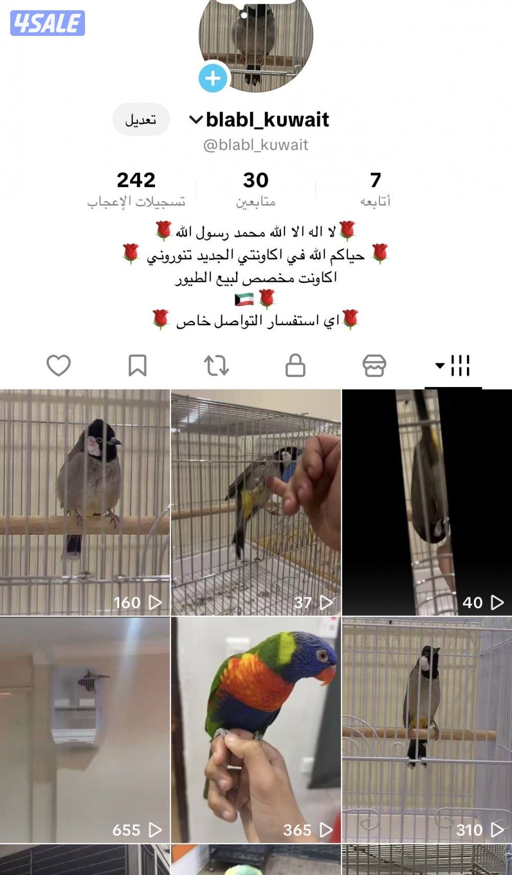 للبيع بلابل0