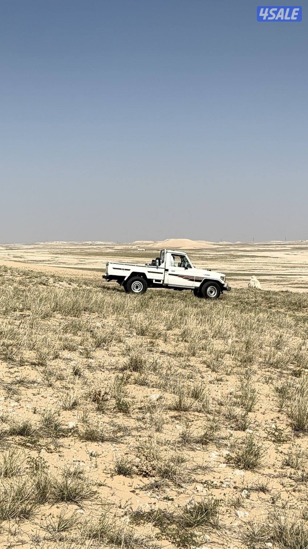 شاص نضيف جناح الصقر1