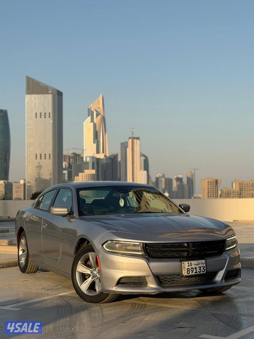 للبيع دوج جارجر 20180