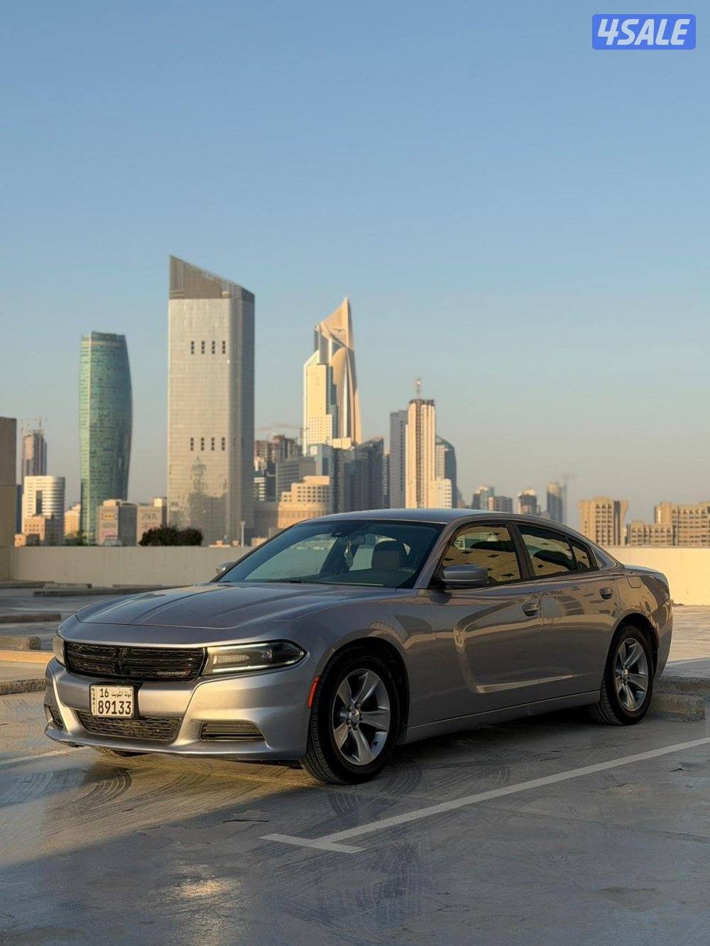 للبيع دوج جارجر 20182