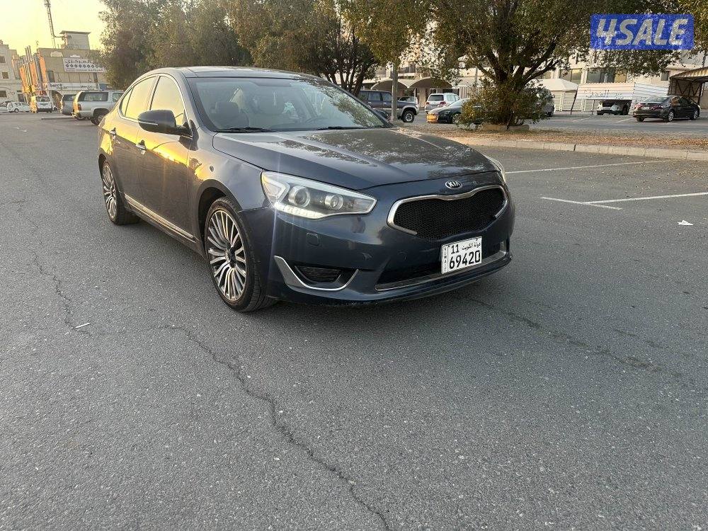 للبيع كادينزا صبغ الوكاله0