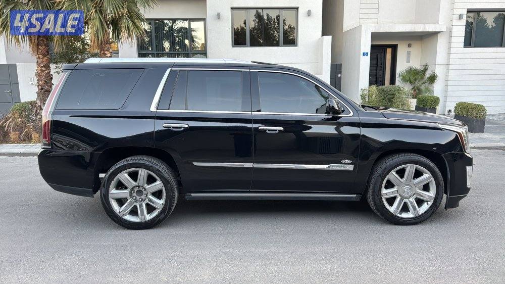 اسكاليد شرط الفحص7