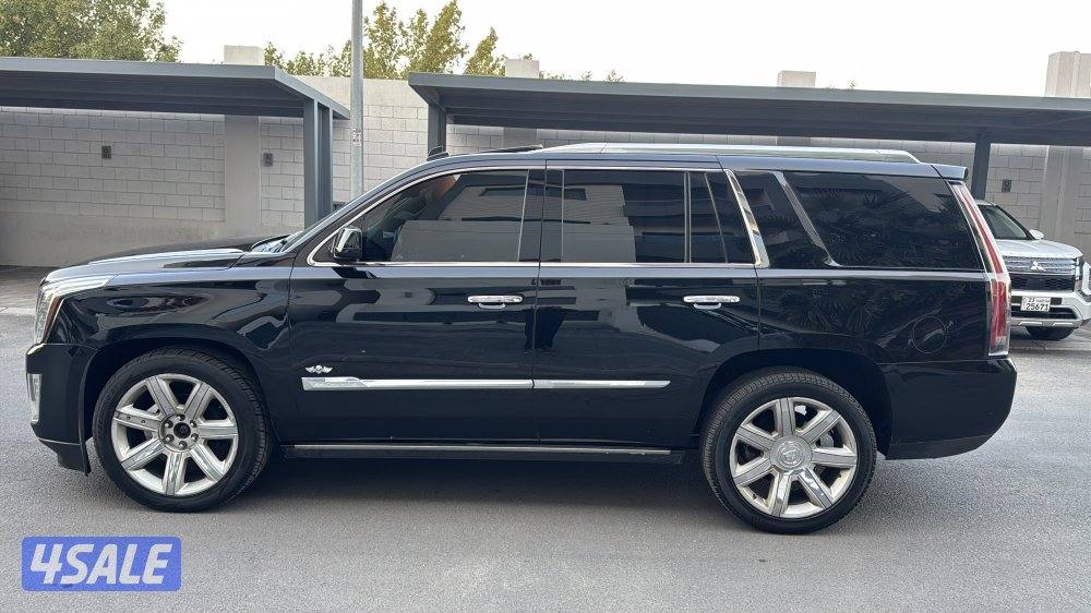 اسكاليد شرط الفحص6