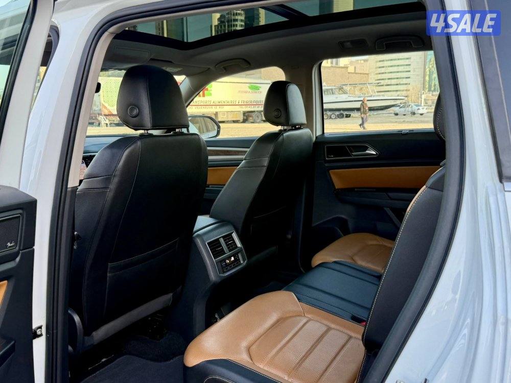 تيرامونت 2019 الفل _اعلي درجه _صبغ الوكاله6