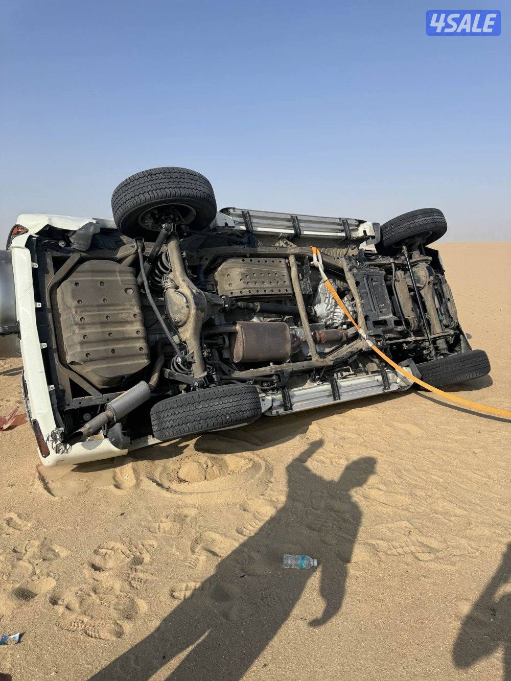 سفاري ٢٠٢٣1