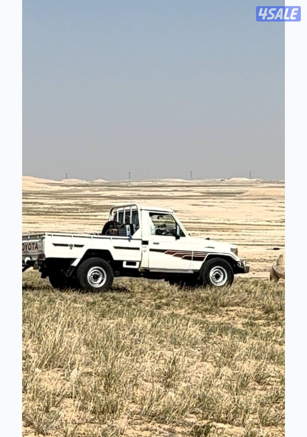 شاص نضيف جناح الصقر13