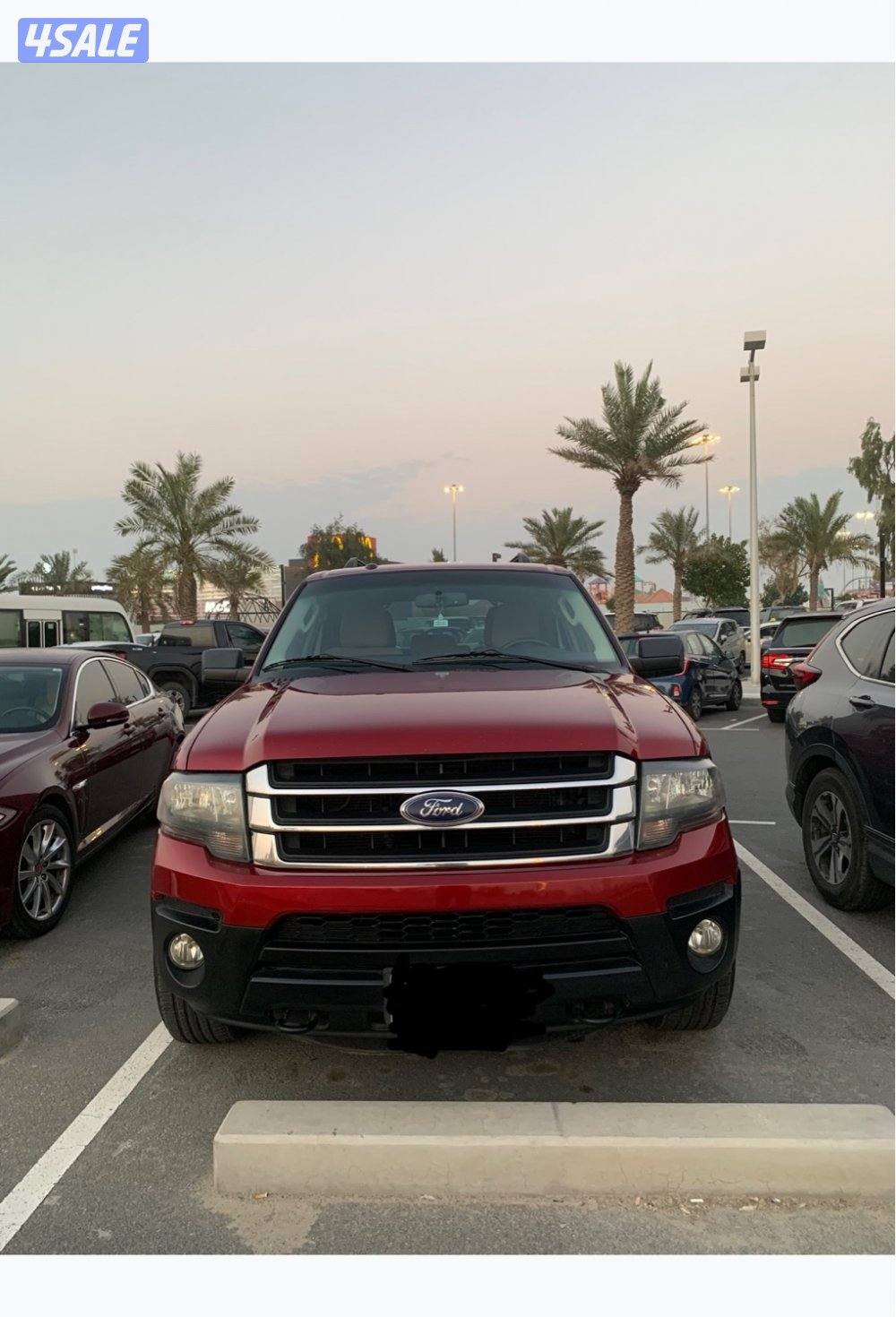 فورد اكسبدشن  20150