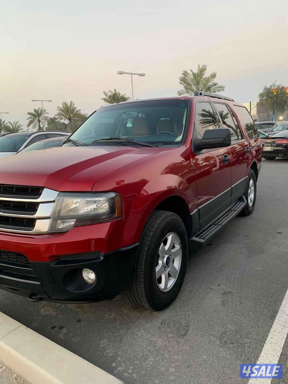 فورد اكسبدشن  20152