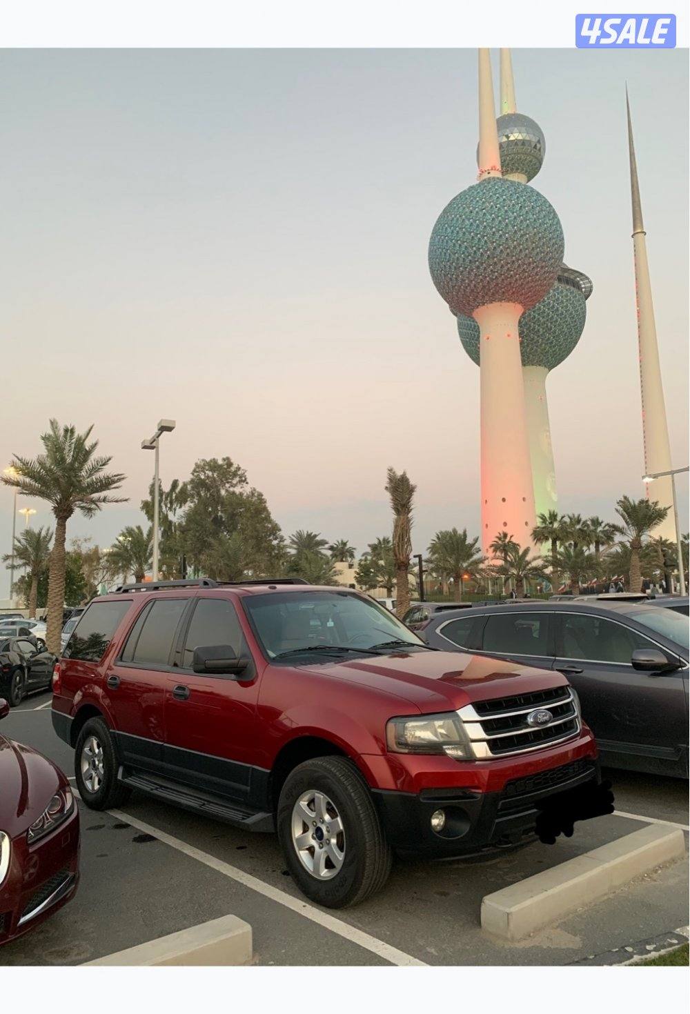 فورد اكسبدشن  20155