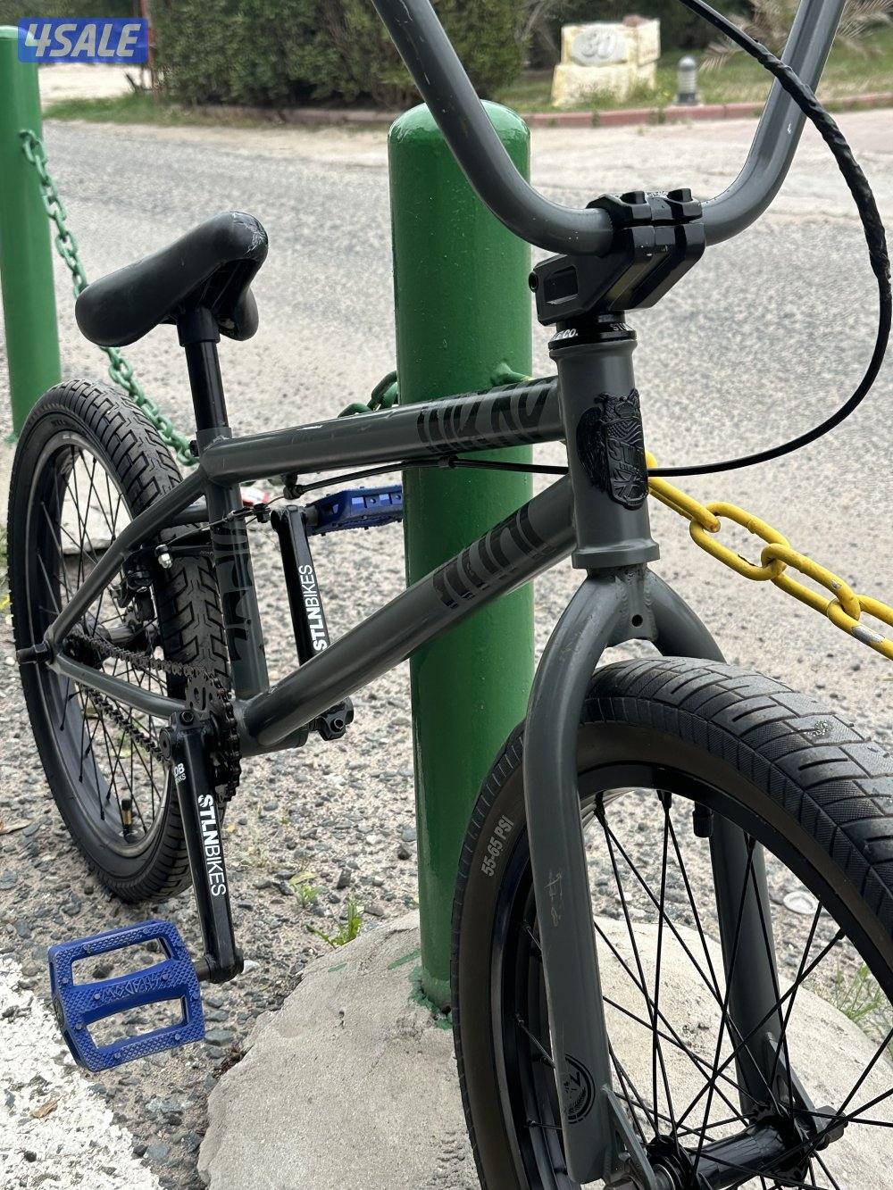 قاري ستولن اصلي0