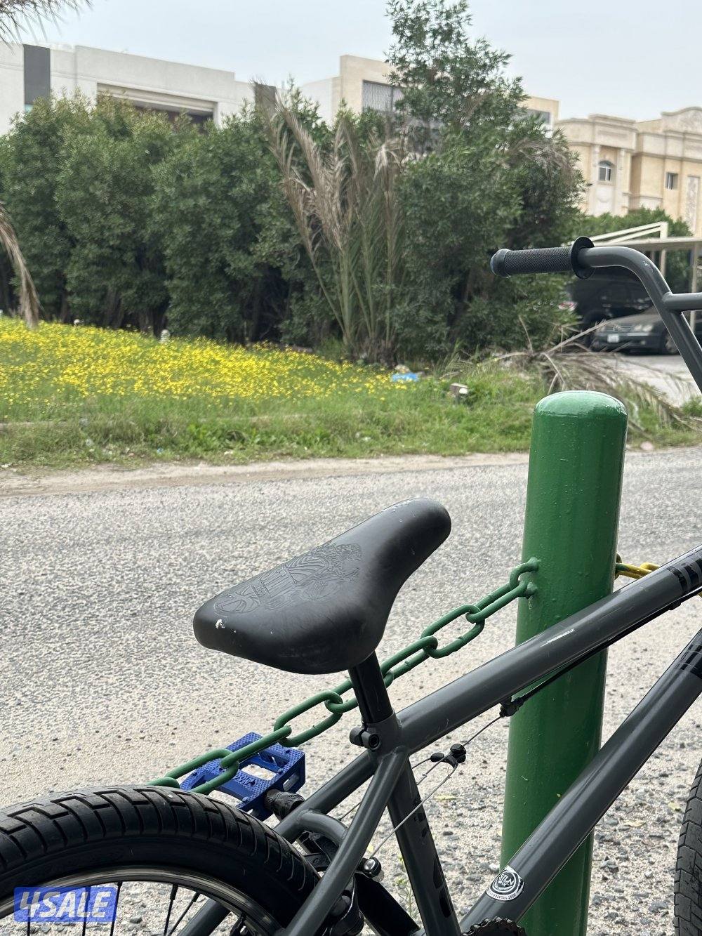 قاري ستولن اصلي1