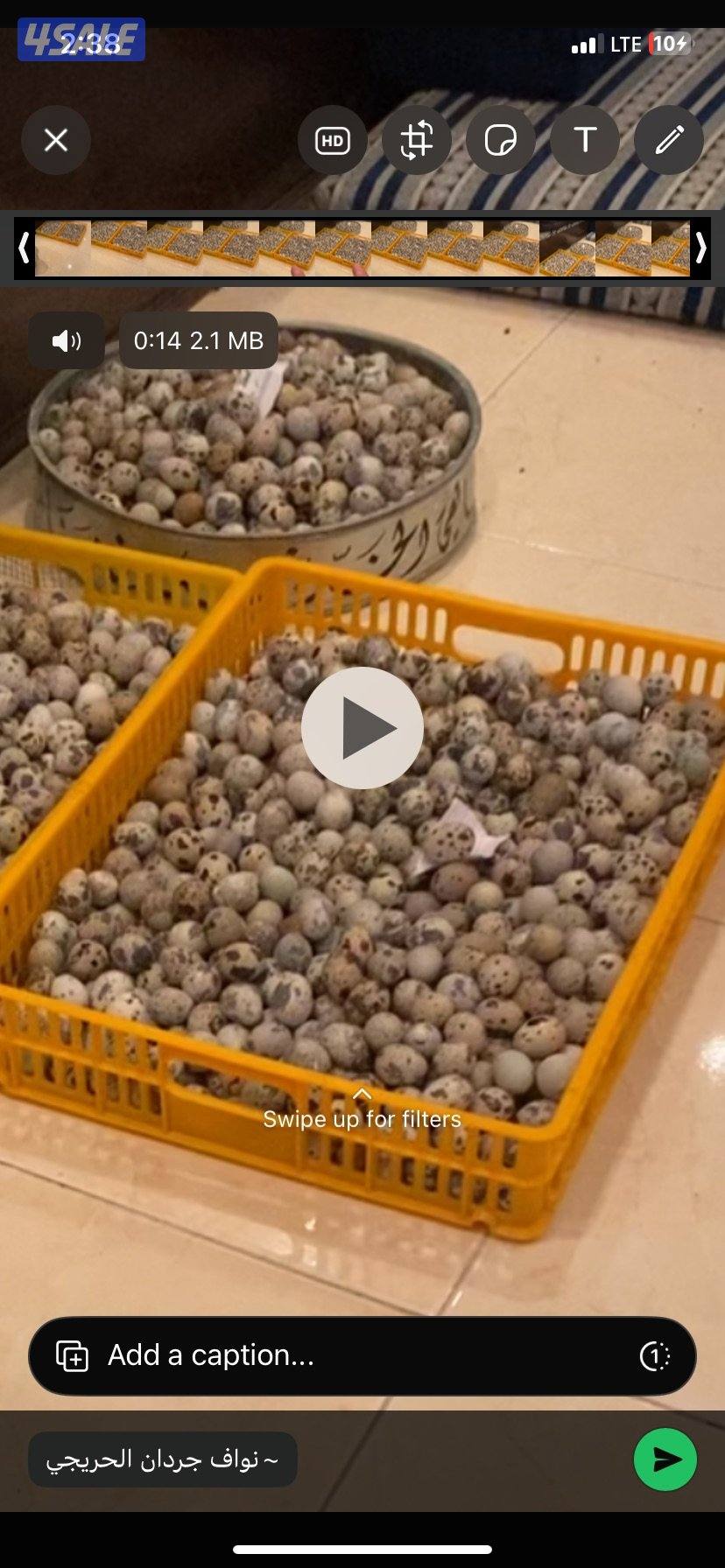 بيض فري للاكل وللفقاسه0