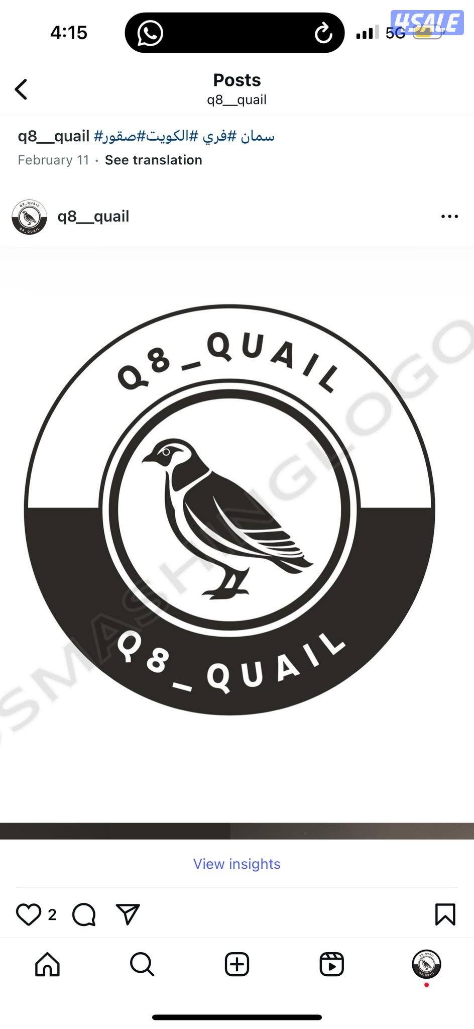 بيض فري للاكل وللفقاسه4