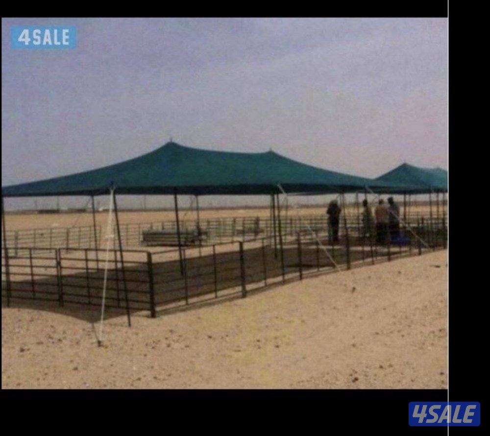 للبيع ظلال للحلال كوري0