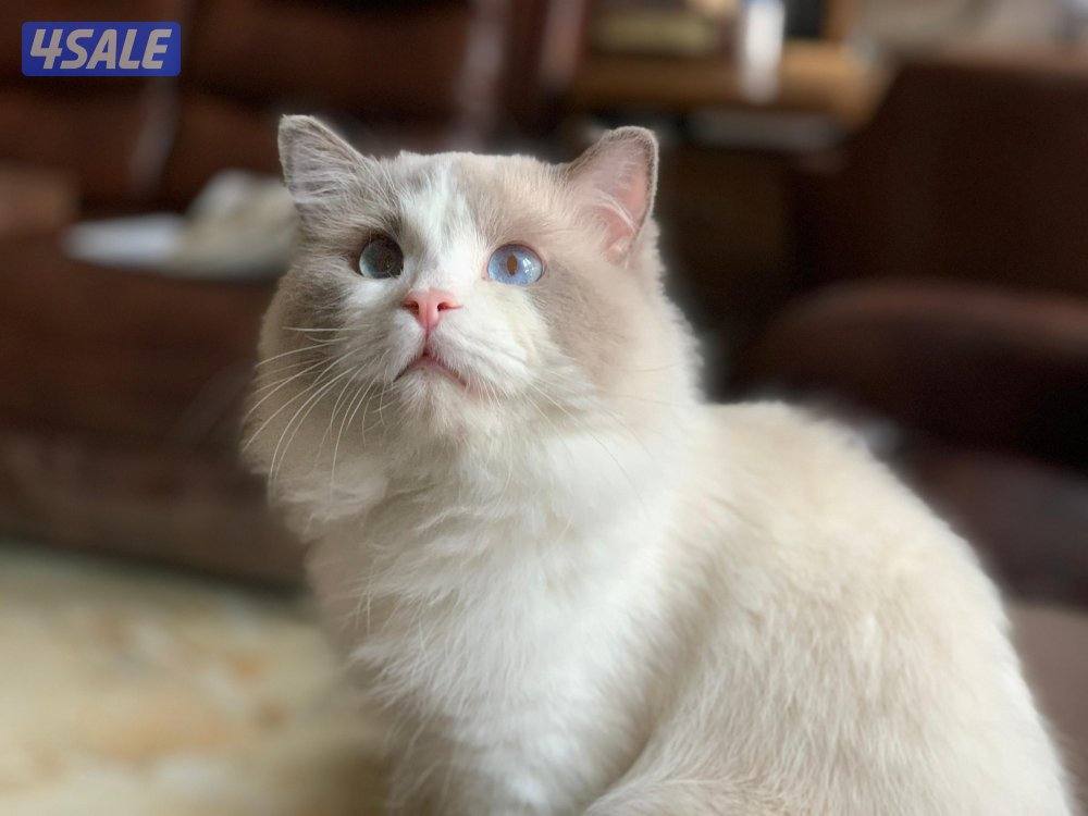 منطقة سلوى1