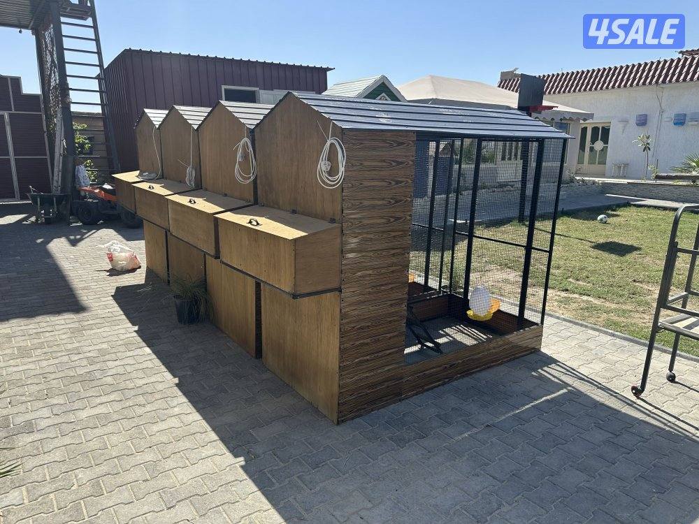 بيوت للدجاج1