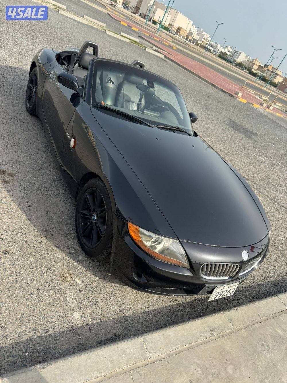 BMW Z4 20038