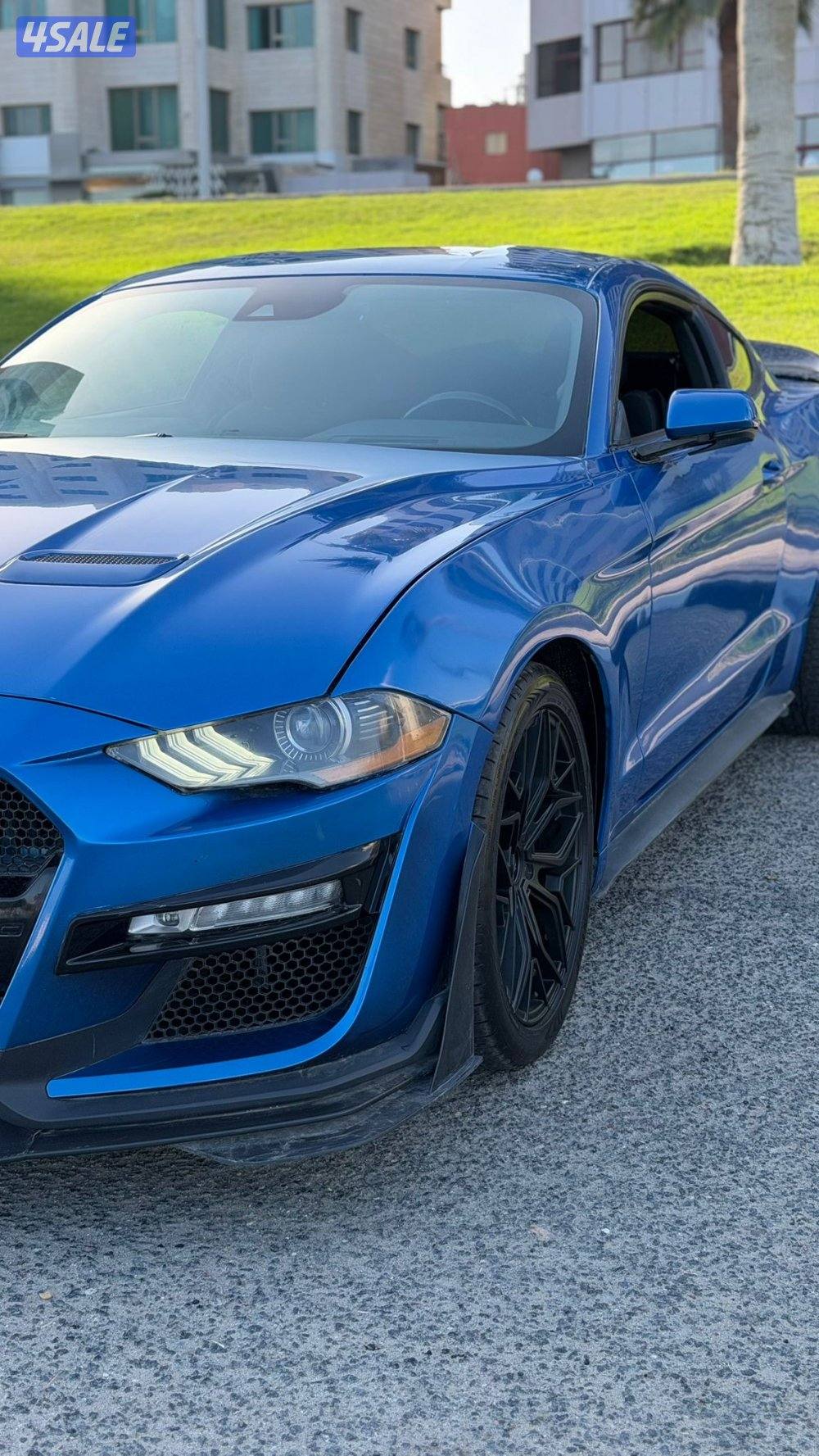 موستنغ موديل 2020 / بحاله ممتازه6