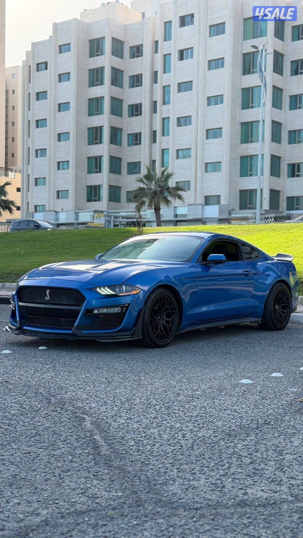 موستنغ موديل 2020 / بحاله ممتازه8