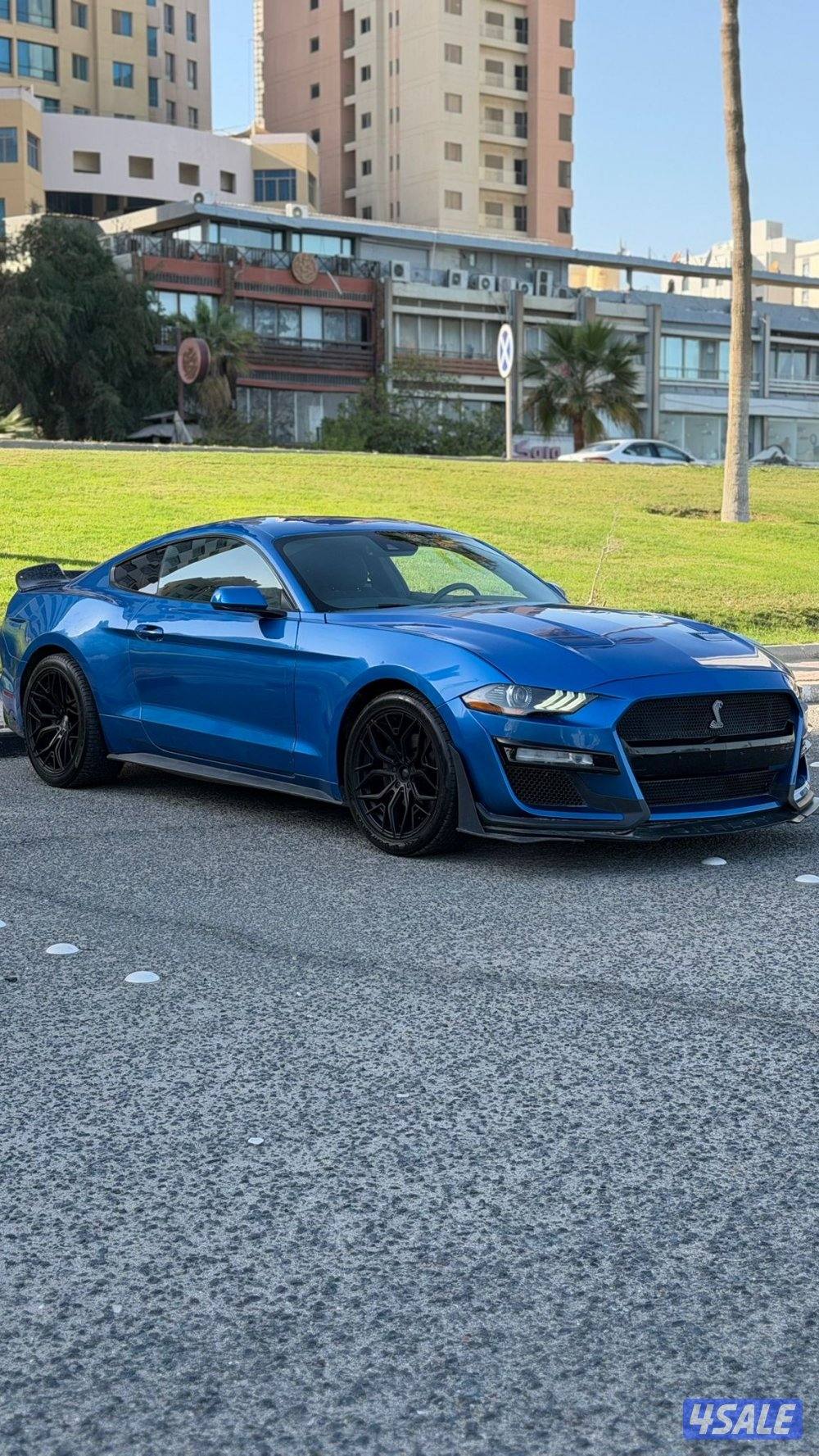 موستنغ موديل 2020 / بحاله ممتازه9