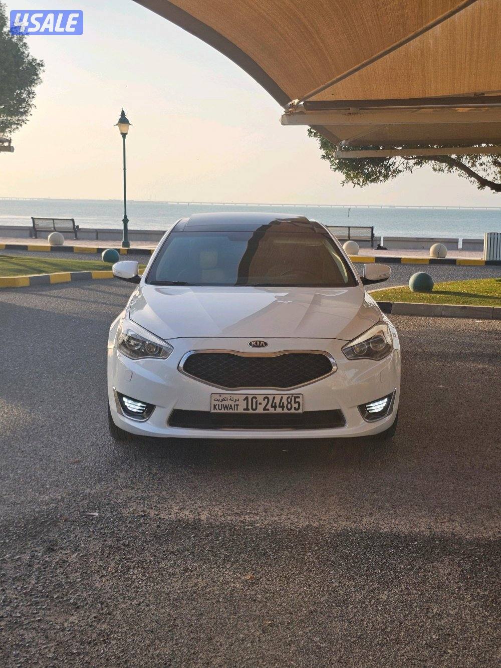 كادينزا الفل بحالة الوكالة1