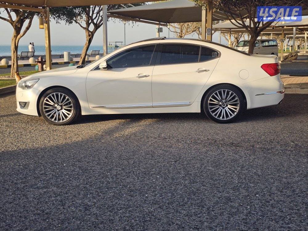 كادينزا الفل بحالة الوكالة2