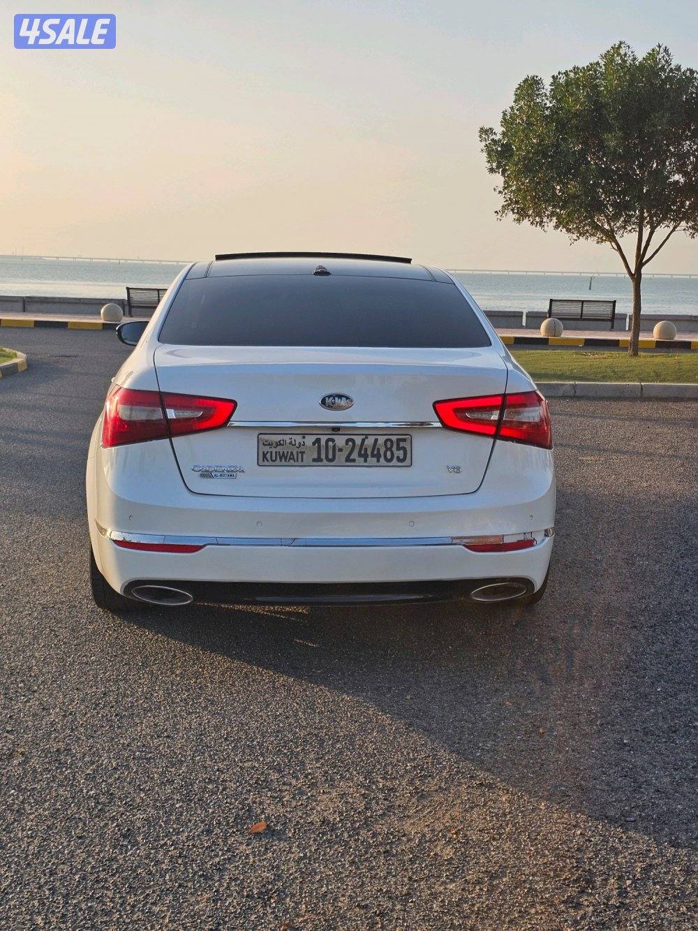 كادينزا الفل بحالة الوكالة3