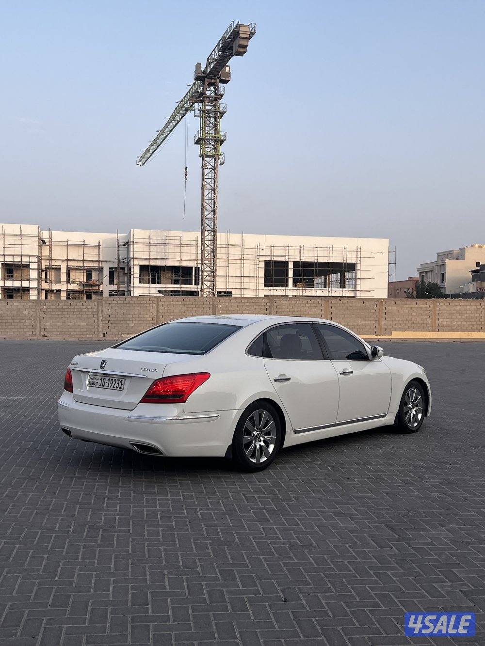 سينتيال بحالة الوكالة وصبغ الوكالة5