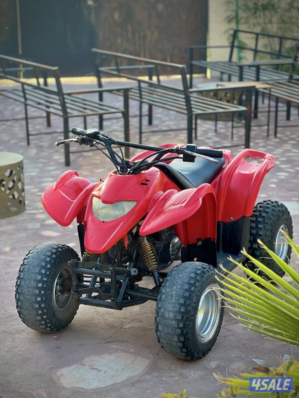 50CC Amiri Buggy0