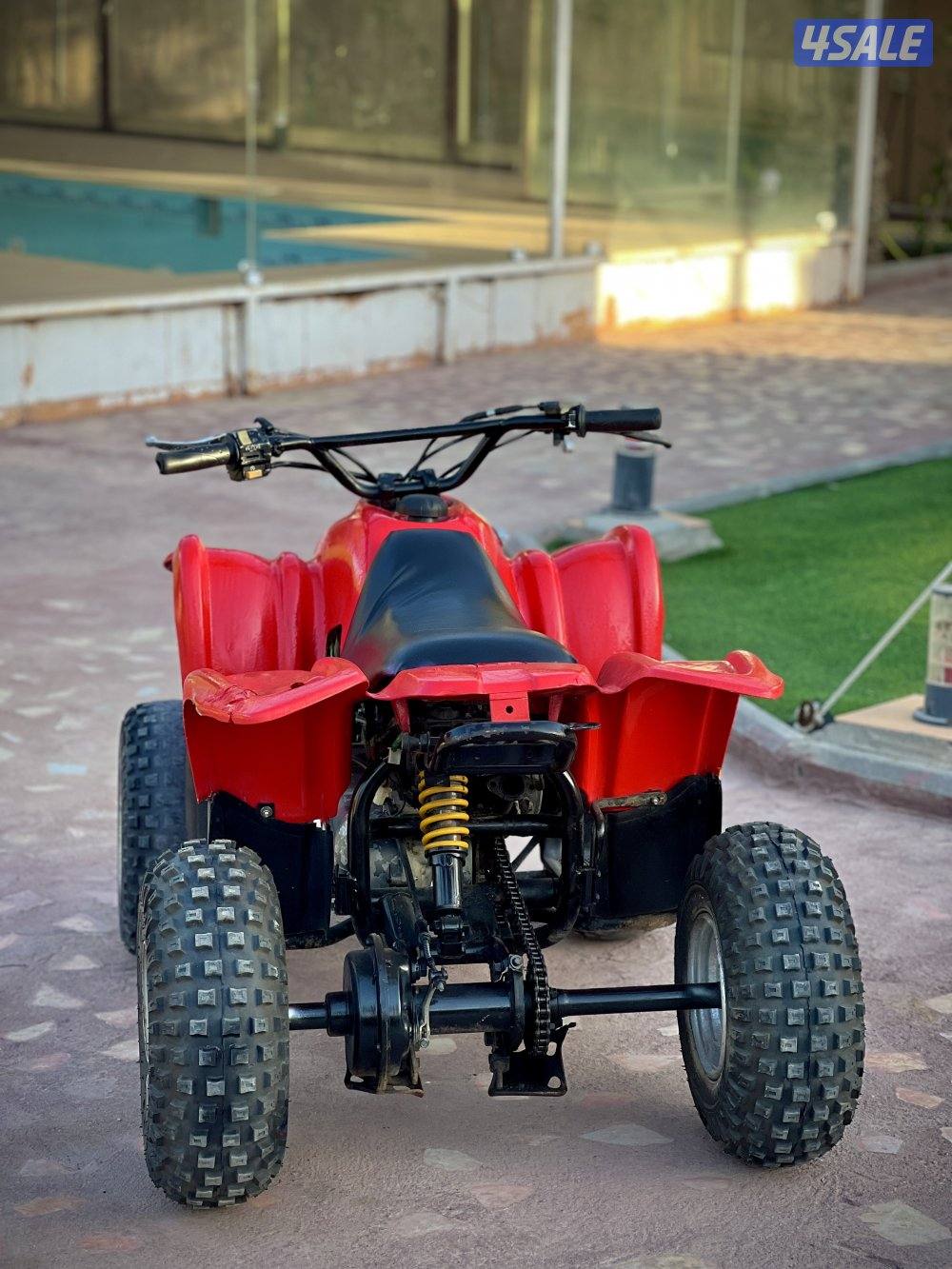 50CC Amiri Buggy1