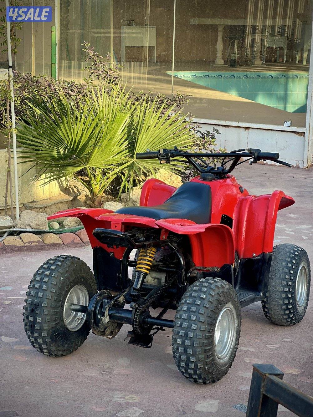 50CC Amiri Buggy2