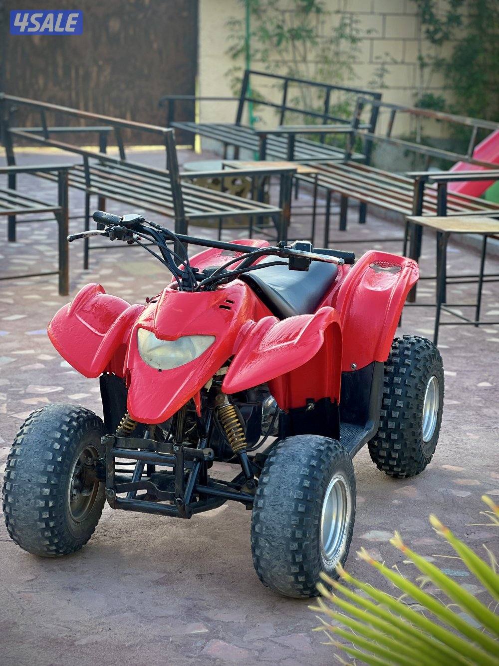 50CC Amiri Buggy3