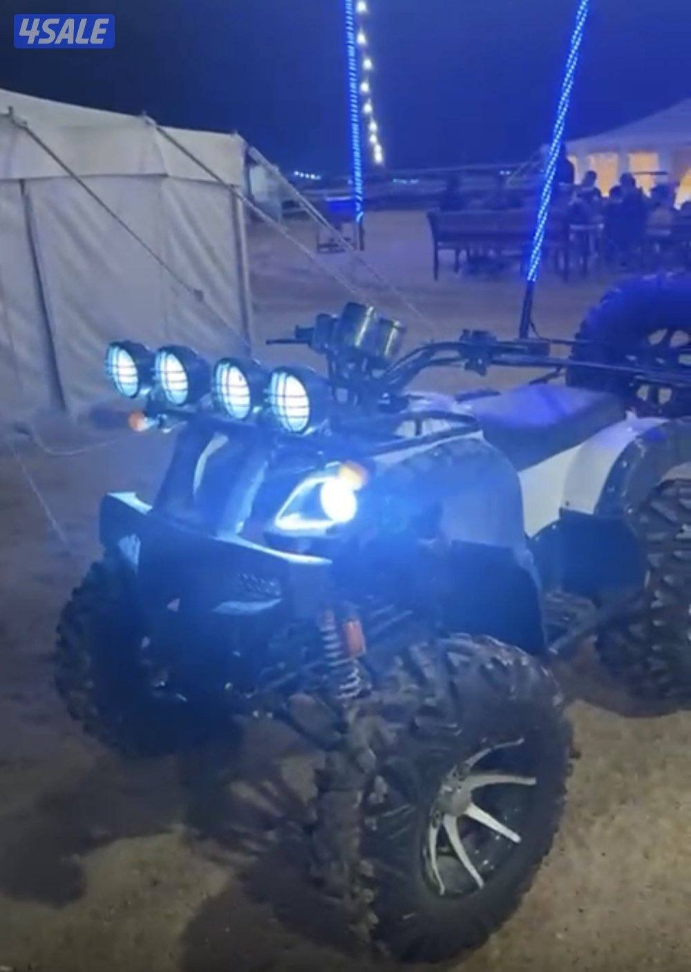 للبيع بقي صيني حجم كبير قير عادي1