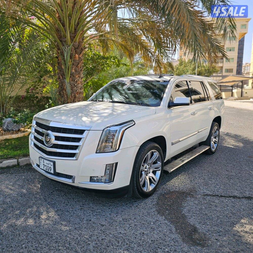 Cadillac Escalade platinum 2015 صبغ الوكالة0