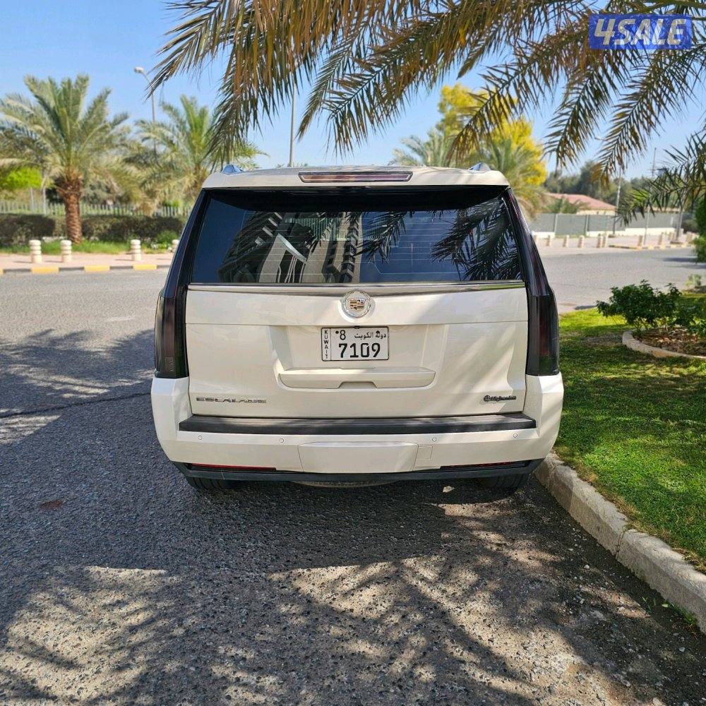 Cadillac Escalade platinum 2015 صبغ الوكالة4