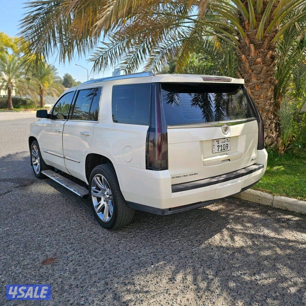 Cadillac Escalade platinum 2015 صبغ الوكالة3